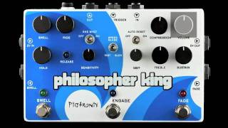 Pigtronix Philosopher King Pedal [upl. by Berget]