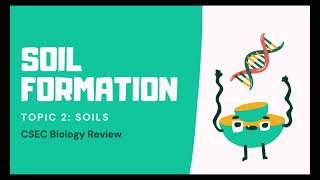 CSEC Review Biology  Module 2  Topic 2  Soils 1  Soil Formation [upl. by Maisey]