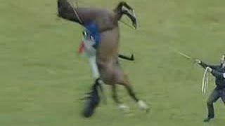 A RACE HORSE JUMPS AND DOES A BACKFLIP UNBELIEVABLE NEARLY LANDS ON JOCKEY [upl. by Moody]