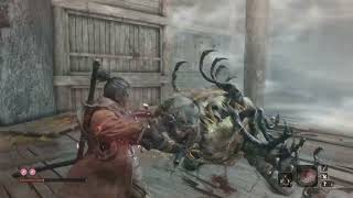 Thats not a giraffe nor a centipede  Sekiro [upl. by Niarbo]