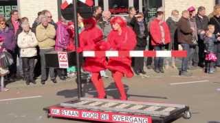 Zevenaar Carnavalsoptocht 2014 [upl. by Llenrep686]