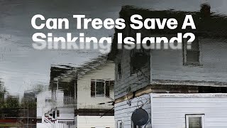 Tree Planting on Tangier Island [upl. by Eiramave]