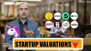 Unicorns In India 2024 List  Gazelles amp Cheetahs Explained  Startup News  Hurun Report  News9 [upl. by Leyameg]