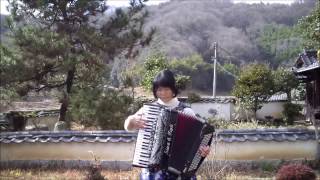 青い山脈 アコーディオン Blue Mountains accordion [upl. by Pillsbury]