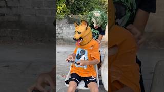 Poor dog is tied up in the park trending dog viralvideo shorts [upl. by Aelam880]