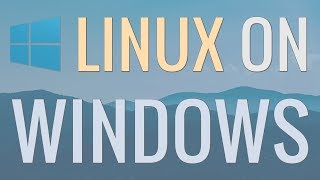 How to Run LinuxBash on Windows 10 Using the BuiltIn Windows Subsystem for Linux [upl. by Rosel]