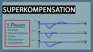 Superkompensation  Verlauf Erklärung Ablauf und Tipps für Trainer Coaches Sportler amp Athleten [upl. by Ainslee70]