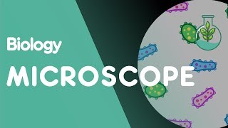 How to use a Microscope  Cells  Biology  FuseSchool [upl. by Camm]