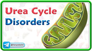 Urea Cycle Disorders Animation  USMLE Step 1 [upl. by Seaman926]