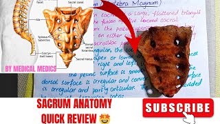 Sacrum Anatomy  Bony Features amp Attachments of Sacrum  Quick Revision [upl. by Aniles571]