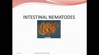 Intestinal Nematodes Part I [upl. by Saied794]