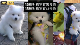 15種狗狗不能吃的食物 15種對狗夠健康有幫助的食物 [upl. by Eissat30]