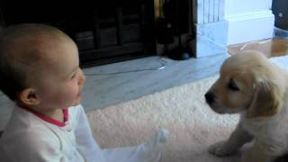 Baby and Puppy meet for the first time [upl. by Ennairod]