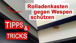 Rolladenkasten gegen Wespen schützen und abdichten [upl. by Bergen883]