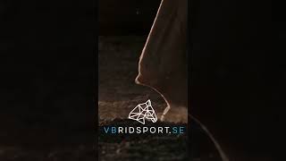 VBridsport Brand Reel [upl. by Cul100]