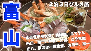 【富山グルメ旅】人気グルメ１５軒 富山に行ったらこの店に行け！！氷見寒ぶり、新湊紅ズワイガニ、香箱蟹、朝日町名物たら汁、魚津名物ばい貝、氷見うどん、富山ブラック、ミシュランラーメンなど [upl. by Herrington202]