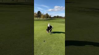 Can she birdie hole 3 at Bawtry Golf Club birdie golf bawtrygolf girlpower [upl. by Solorac]