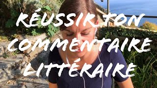 COMMENT FAIRE UN COMMENTAIRE LITTERAIRE [upl. by Aisac]