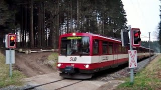 Arnsdorf bei Lamprechtshausen mit Zügen der Salzburger Lokalbahn als SBahn und LokalExpress [upl. by Inuat]