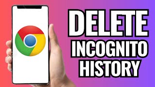 How To Delete Incognito History On Google Chrome In Mobile [upl. by Vareck735]