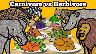 Carnivore vs Herbivore Safari Animals  Lets Draw amp Color Wild Animals and Learn Fun Animal Facts [upl. by Namas]