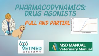 Pharmacodynamics Drug Agonists Full and Partial [upl. by Nyrad]