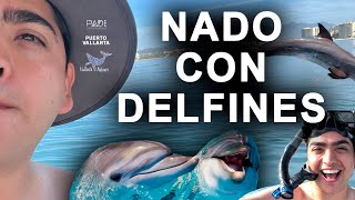 🇲🇽 PUERTO VALLARTA ⛱️  Se vivió la experiencia de nadar con los delfines [upl. by Eidroj259]