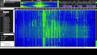 VIDEOGATE  27385 mhz 38 LSB WORLD RADIO [upl. by Byrne]