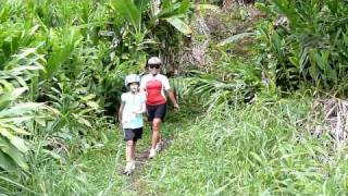 Mud Lane Waipio Waterfall Big Island [upl. by Huntington]