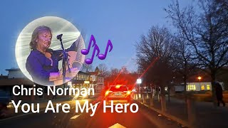 The lights of a dark November evening 🌟 You Are My Hero 😊  Chris Norman [upl. by Agata]