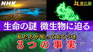 NHKスペシャル 微生物なしに私たちは存在しない！？最新科学が解き明かす驚きの事実  超進化論  NHK [upl. by Eural]