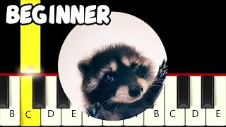 Pedro Pedro Pedro  Racoon Meme  Fast and Slow Easy Piano Tutorial  Beginner [upl. by Devondra]