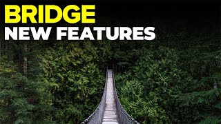 Whats NEW in Adobe Bridge [upl. by Haianeb305]