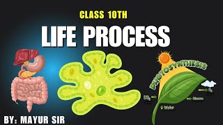 Life Processes class 10 Science Biology  CBSE NCERT Part01 [upl. by Elrae]