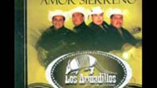 los armadillos de la sierra mares de lujo [upl. by Kizzie]