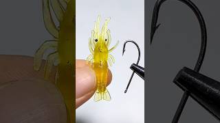 Tips for using shrimp for fishing fishing fishinglife [upl. by Atnuahc974]