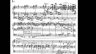 Julius Reubke Sonata on 94th Psalm Orgelsonata “der 94ste Psalm”  with score [upl. by Ayirp786]