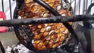 Awesome gyroscopic grill [upl. by Evvie430]