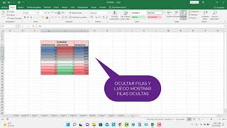 Ocultar y mostrar filas en EXCEL [upl. by Nancy101]