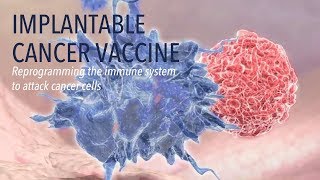 Wyss Institute Implantable Cancer Vaccine [upl. by Nicodemus]