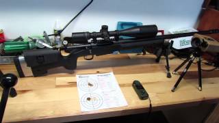 Custom 300 win mag and 338 lapua stats [upl. by Worlock]