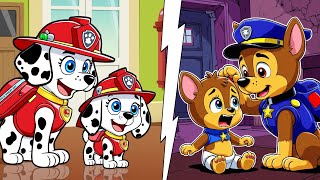 Paw Patrol Ultimate Rescue  Rich and Poor  Marshall and Chase  Happy life Story  Rainbow 3 [upl. by Mylor]