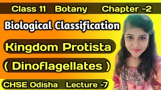 Kingdom Protista Dinoflagellates Class 11 Botany CHSE Biological Classification [upl. by Oaoj284]