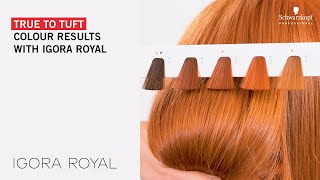 True to tuft colour results with IGORA ROYAL [upl. by Stubbs]