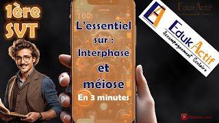 Lessentiel sur linterphase et la méiose en 3 minutesPremière spécialité SVT meiose méiose svt [upl. by Marve]