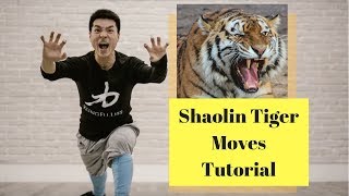 Shaolin Tiger Style  Tiger Hunting  Tutorial  kungfulife [upl. by Deegan]