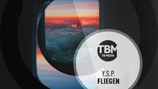 YSP  Fliegen Official [upl. by Sergio744]