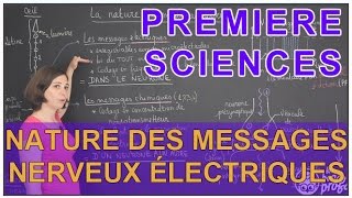 Nature des messages nerveux électriques  Sciences 1ère ESL  Les Bons Profs [upl. by Sloane]