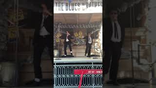 The Blues Brothers Christmas Show At Universal Studios [upl. by Ilonka]