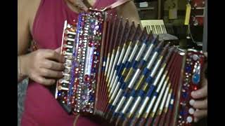 Vintage Pasquale Ficosecco diatonic button accordion  organetto  4 bass [upl. by Acinehs]